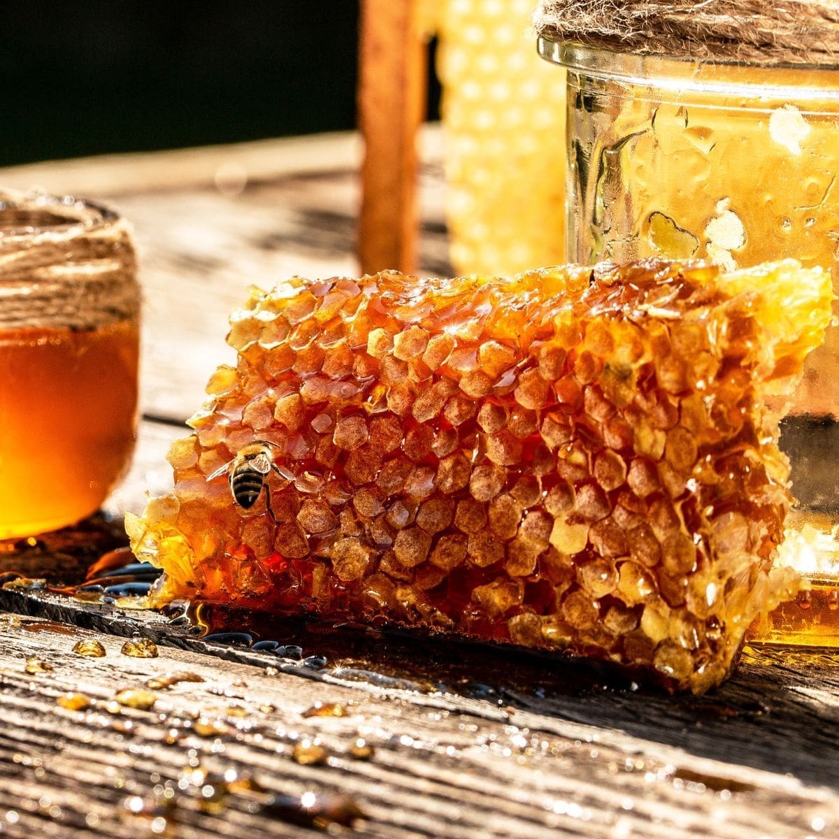 What Does Honeycomb Taste Like and How Should You Store It?