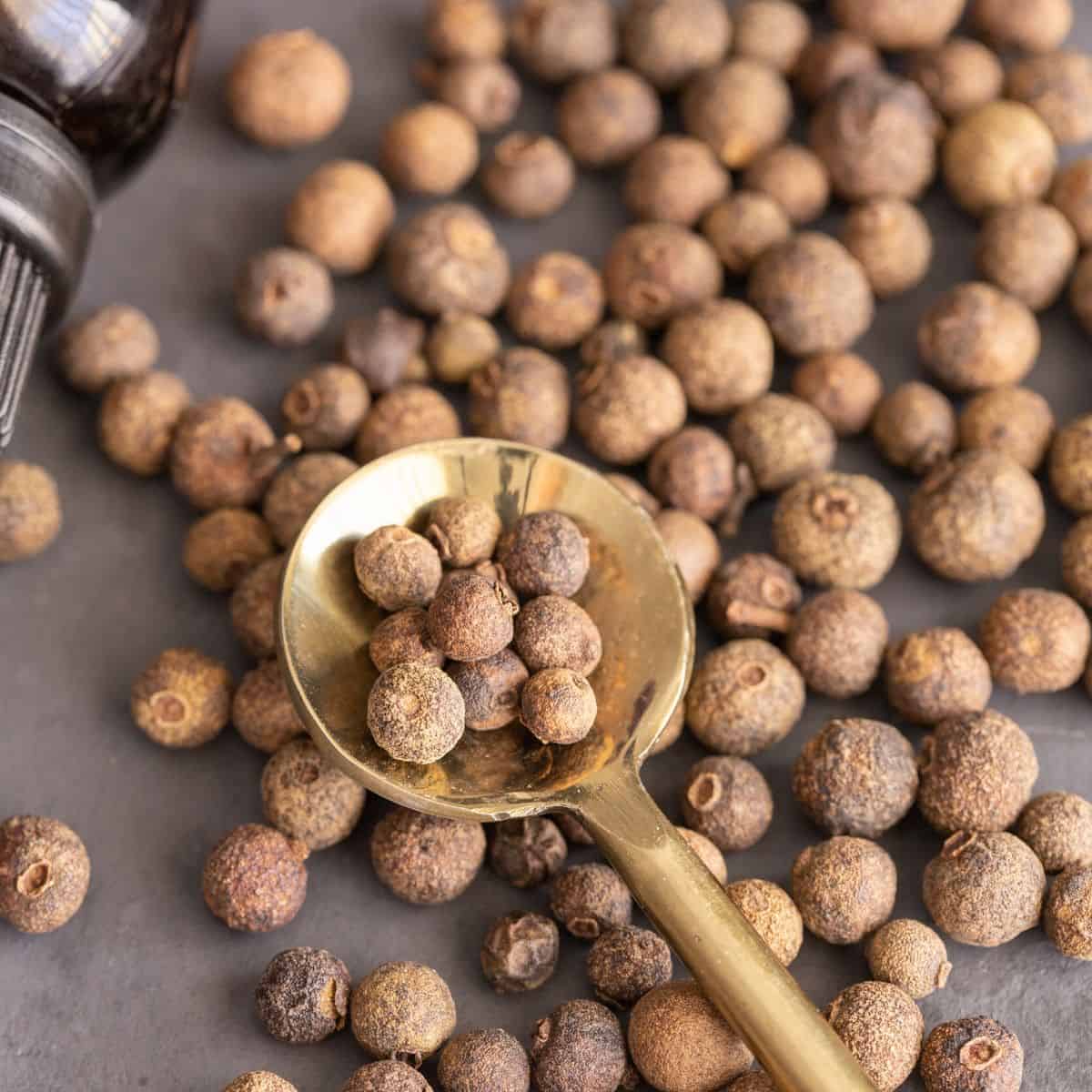 Need Substitutes For Allspice? Here Are The 7 Best Options