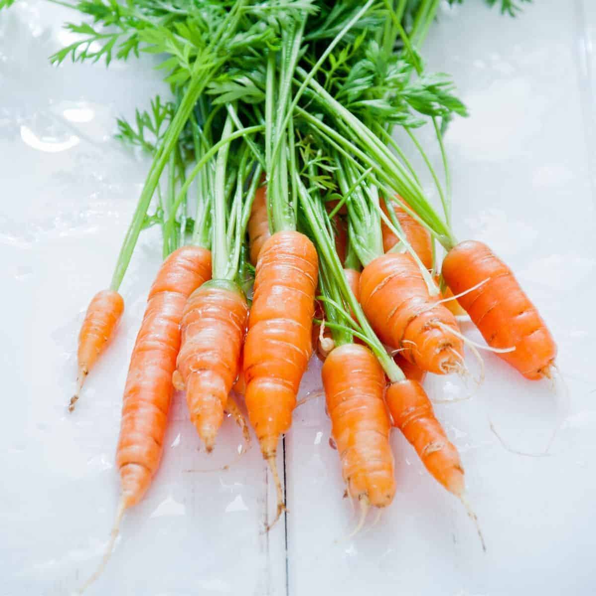 Can You Freeze Carrots? An Easy Way to Freeze Carrots