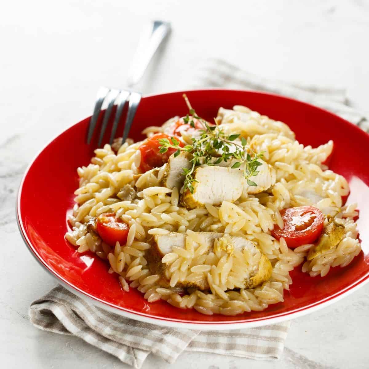 What is orzo (All that you need to know!)