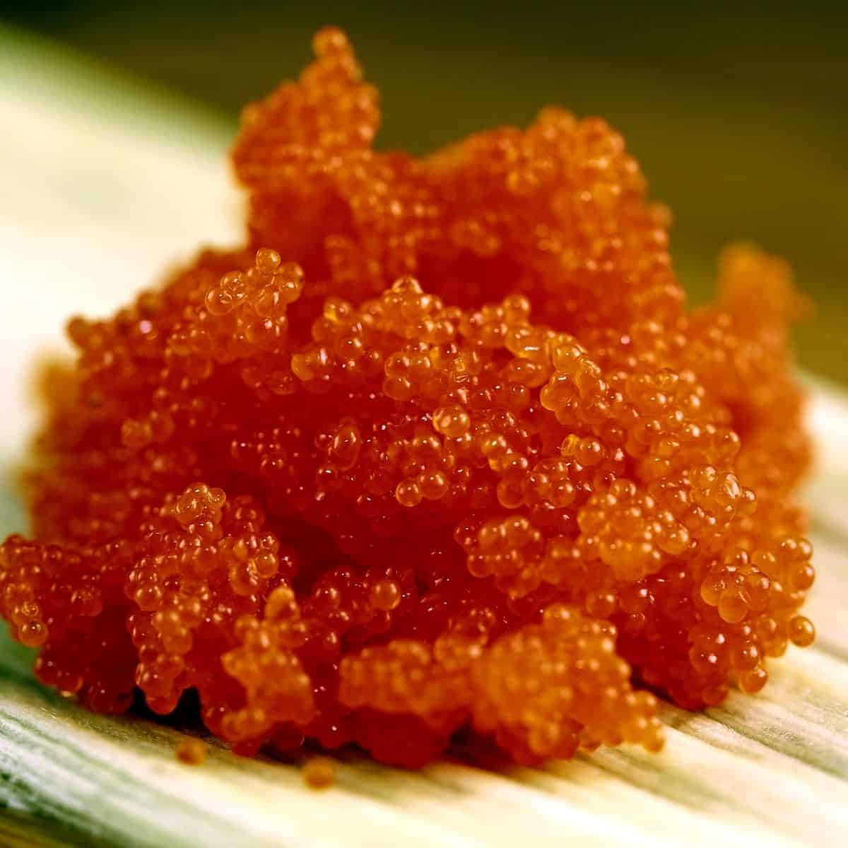 What Is Masago: All That You Want To Know ✅