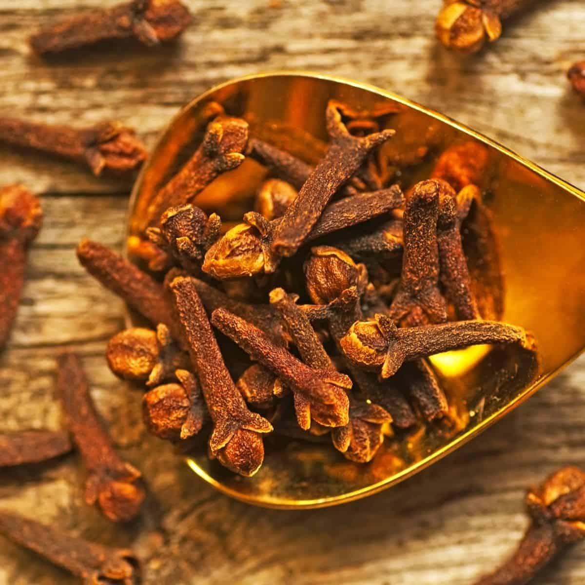 What Are Cloves? Here’s Your Guide To This Versatile, Worldly Spice!
