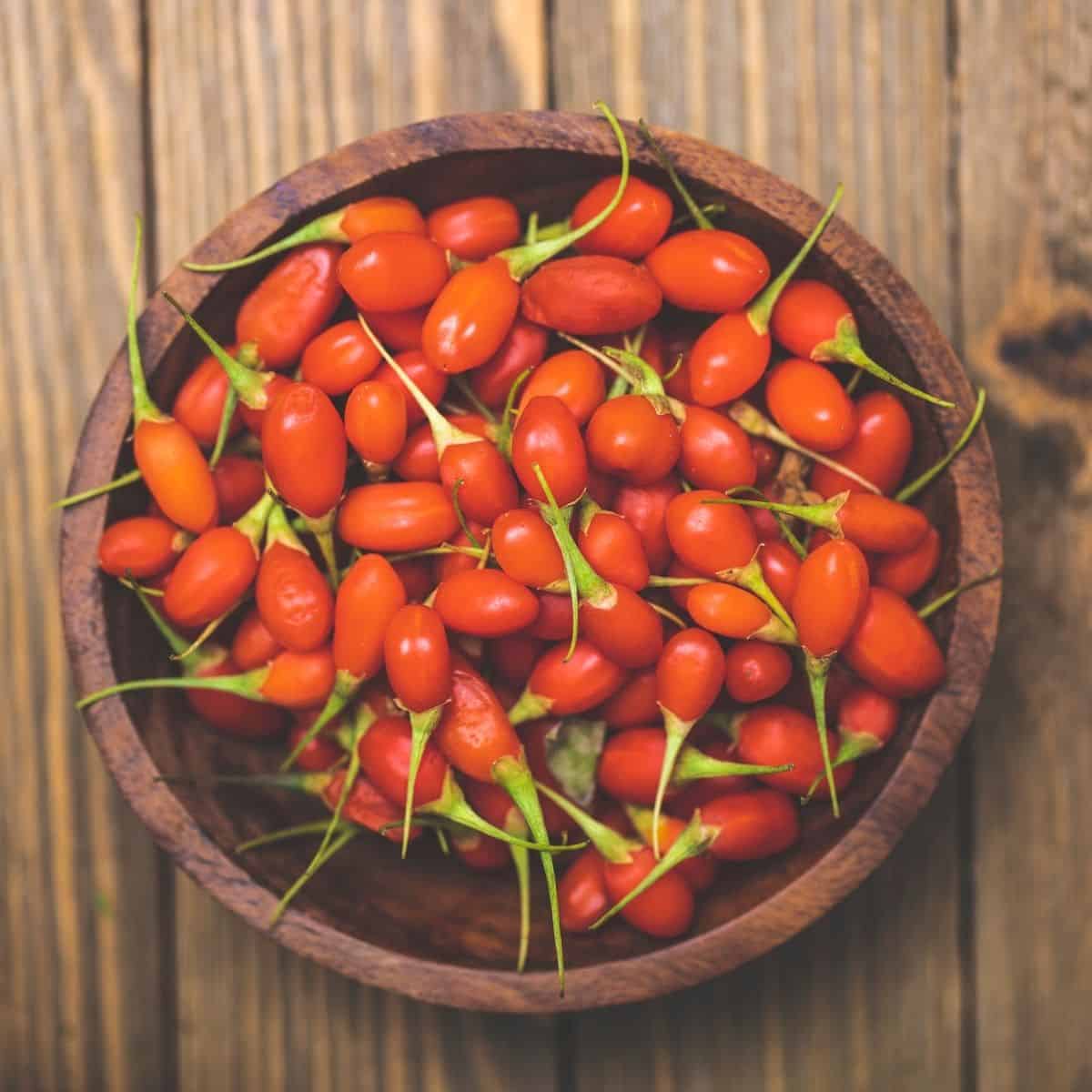 What Do Goji Berries Taste Like? Learn About This Unique Fruit Here!