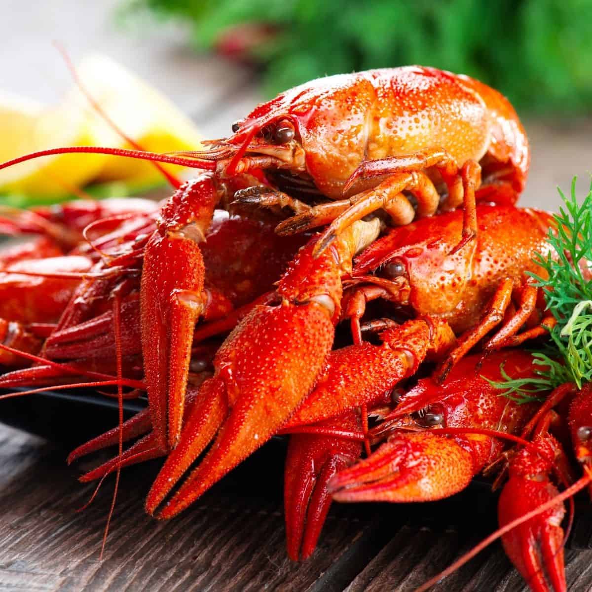 How To Tell If Crawfish Is Bad: A Guide For Storage, Freezing & More