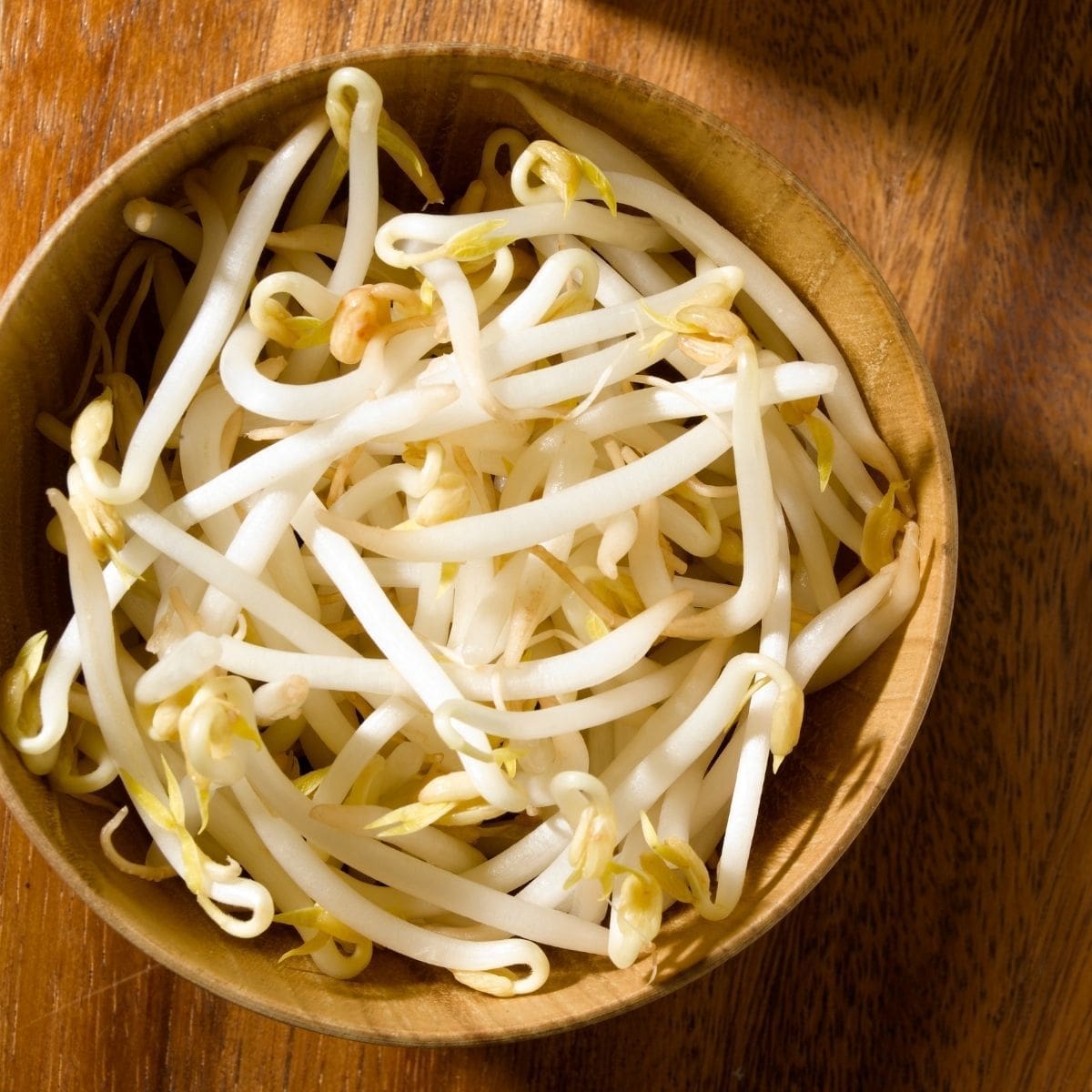 What Are Bean Sprouts? Everything You Need To Know