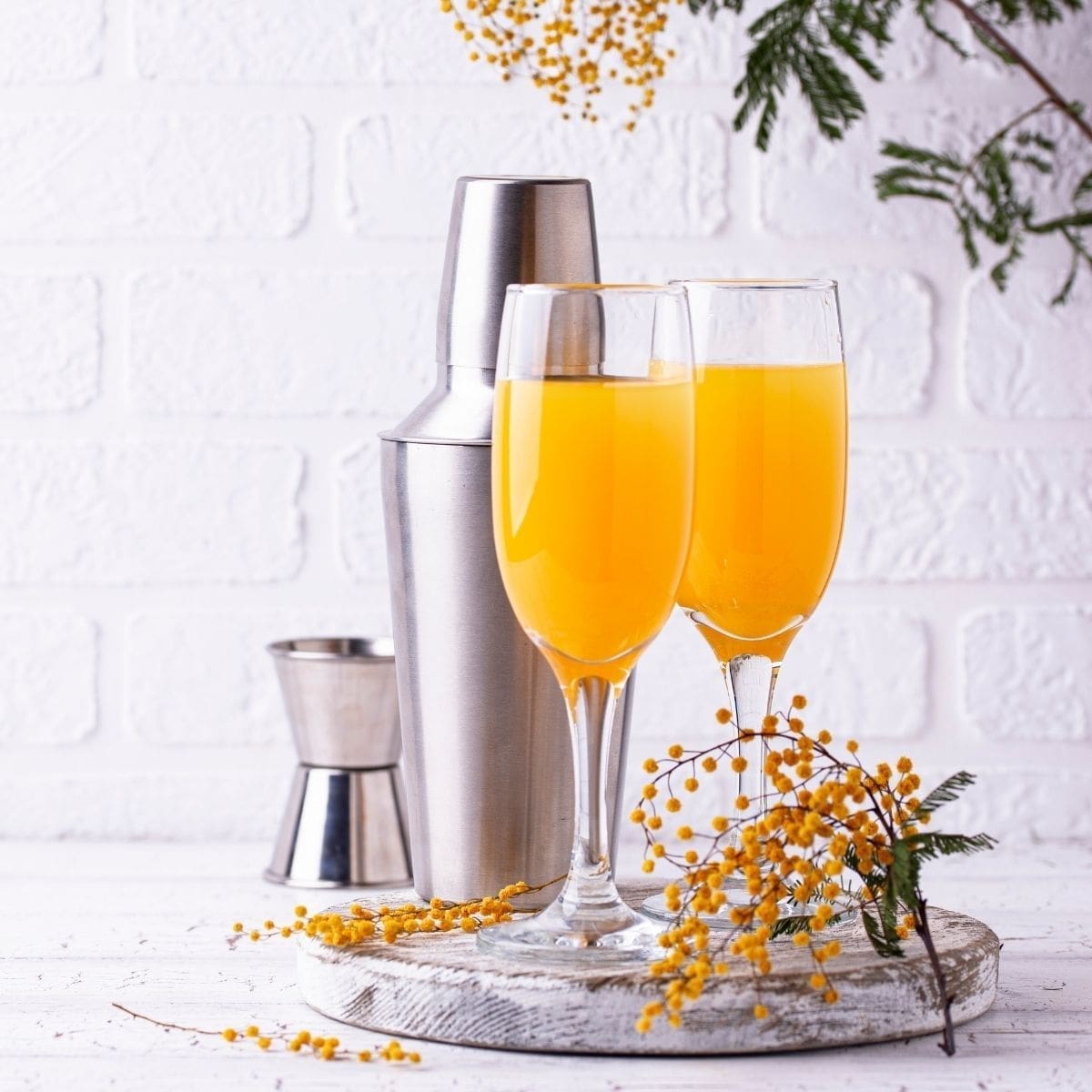 25 BEST Orange Juice Cocktails: Sweet Tangy Deliciousness! 🍊