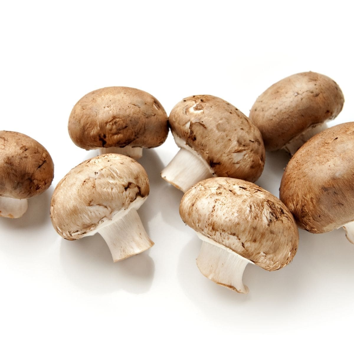 What Are Cremini Mushrooms? FAQ, Storage Tips & More